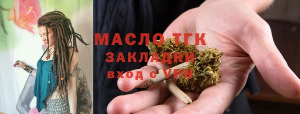 амф Бородино