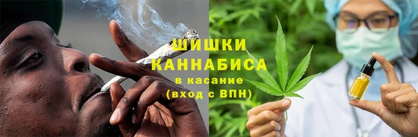 амф Бородино