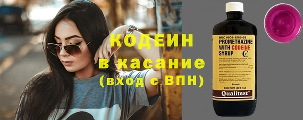 амф Бородино
