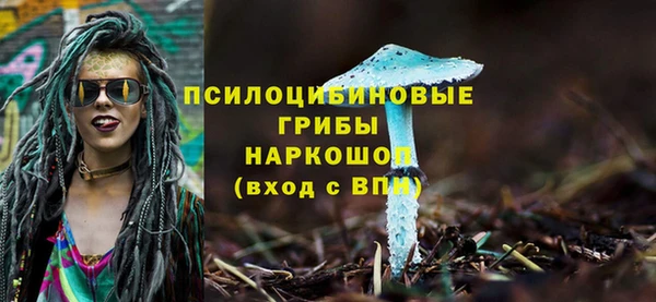 СК Бугульма
