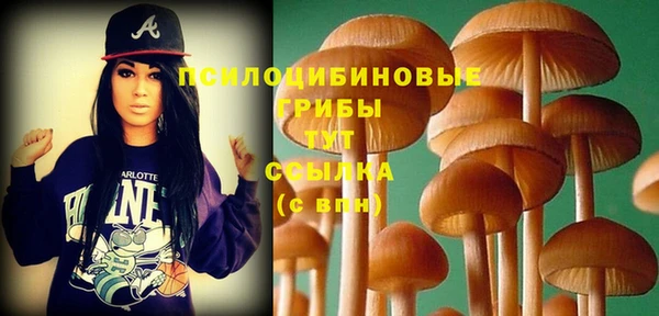 амф Бородино