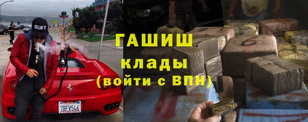 амф Бородино