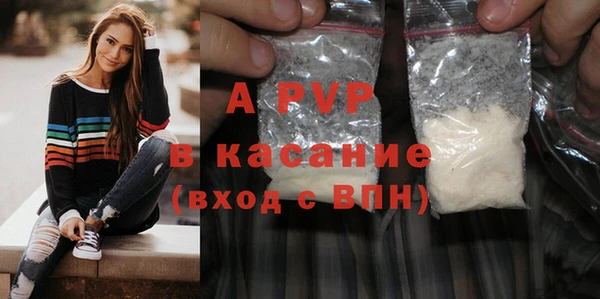 амф Бородино