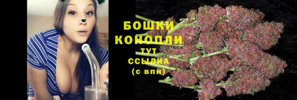 амф Бородино