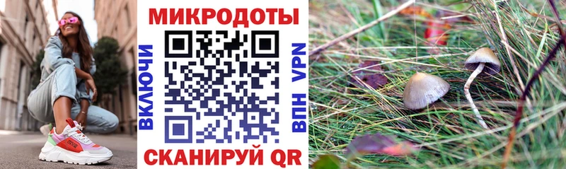 Галлюциногенные грибы прущие грибы  купить  цена  Симферополь 